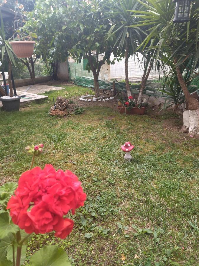 Sofis House Διαμέρισμα Καβάλα Εξωτερικό φωτογραφία