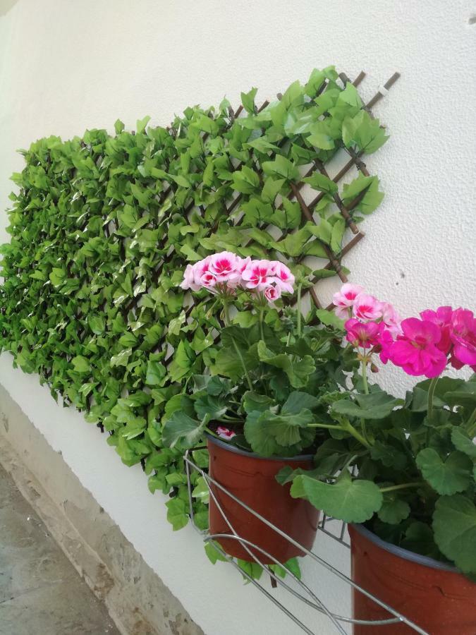 Sofis House Διαμέρισμα Καβάλα Εξωτερικό φωτογραφία